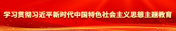 大几把操我网站学习贯彻习近平新时代中国特色社会主义思想主题教育